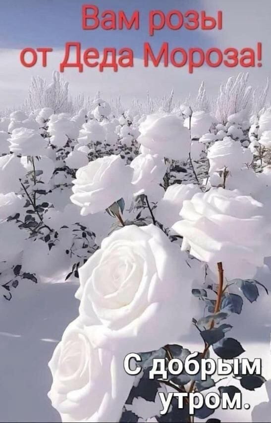 https://upforme.ru/uploads/000a/78/7a/526/15923.jpg