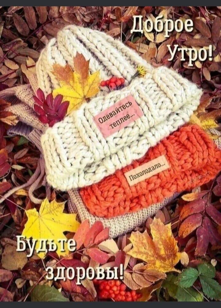 https://upforme.ru/uploads/000a/78/7a/526/159829.jpg