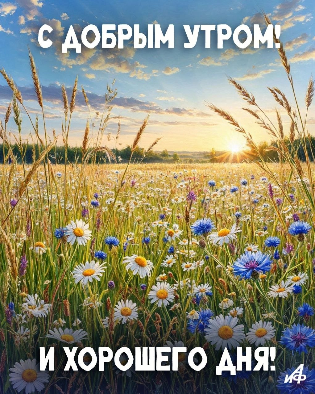 https://upforme.ru/uploads/000a/78/7a/526/161957.jpg