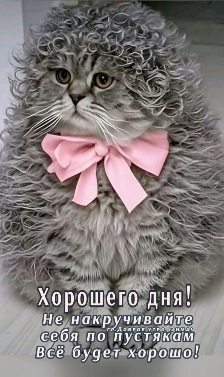 https://upforme.ru/uploads/000a/78/7a/526/166709.jpg