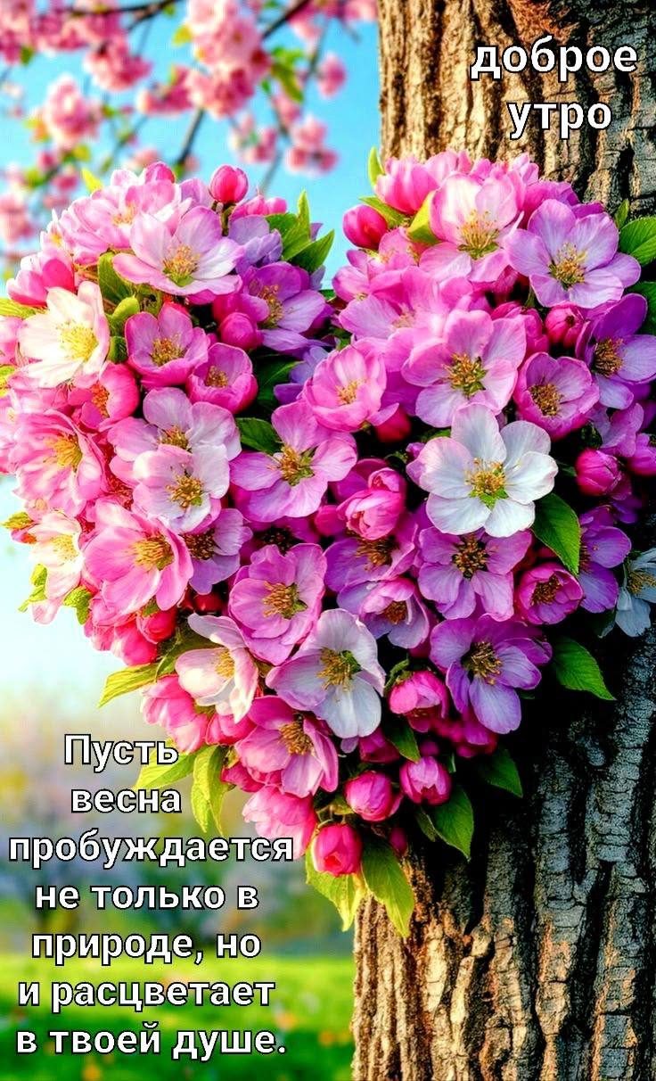 https://upforme.ru/uploads/000a/78/7a/526/174868.jpg