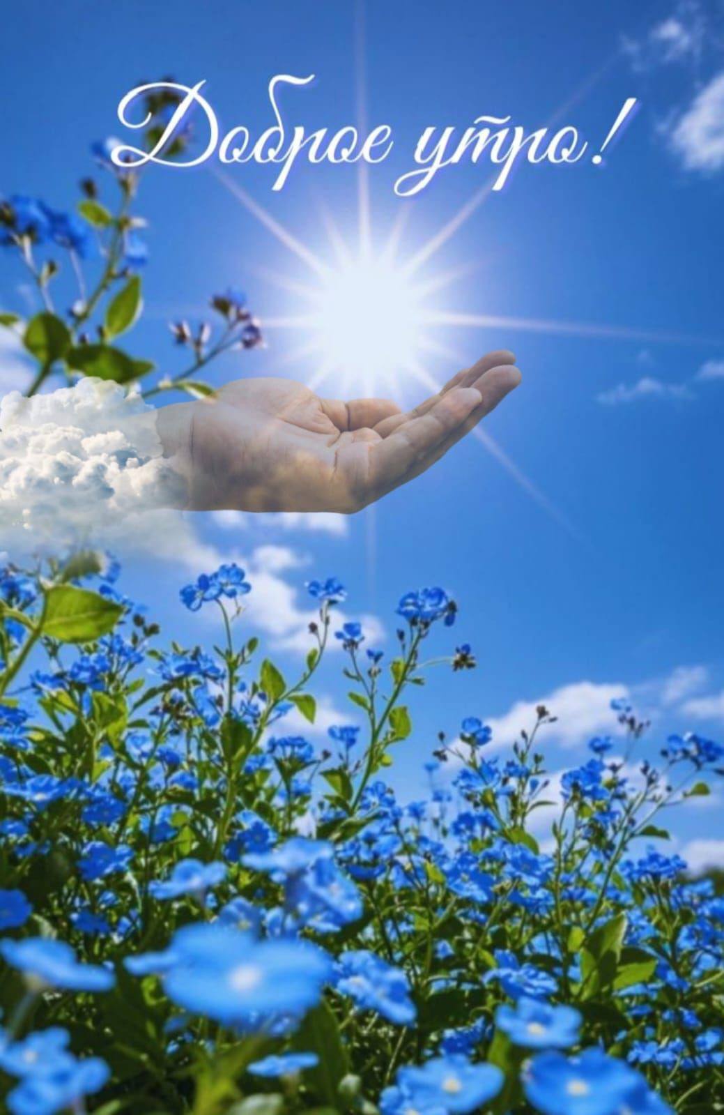 https://upforme.ru/uploads/000a/78/7a/526/175675.jpg
