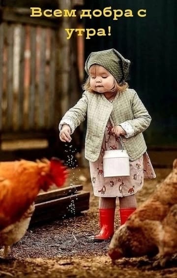 https://upforme.ru/uploads/000a/78/7a/526/182899.jpg