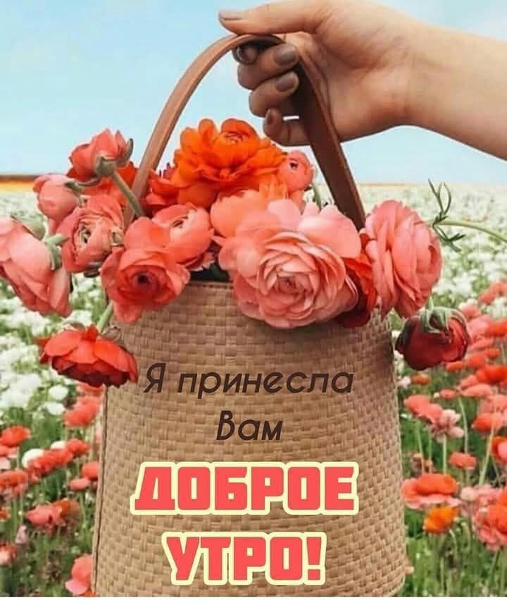 https://upforme.ru/uploads/000a/78/7a/526/185462.jpg