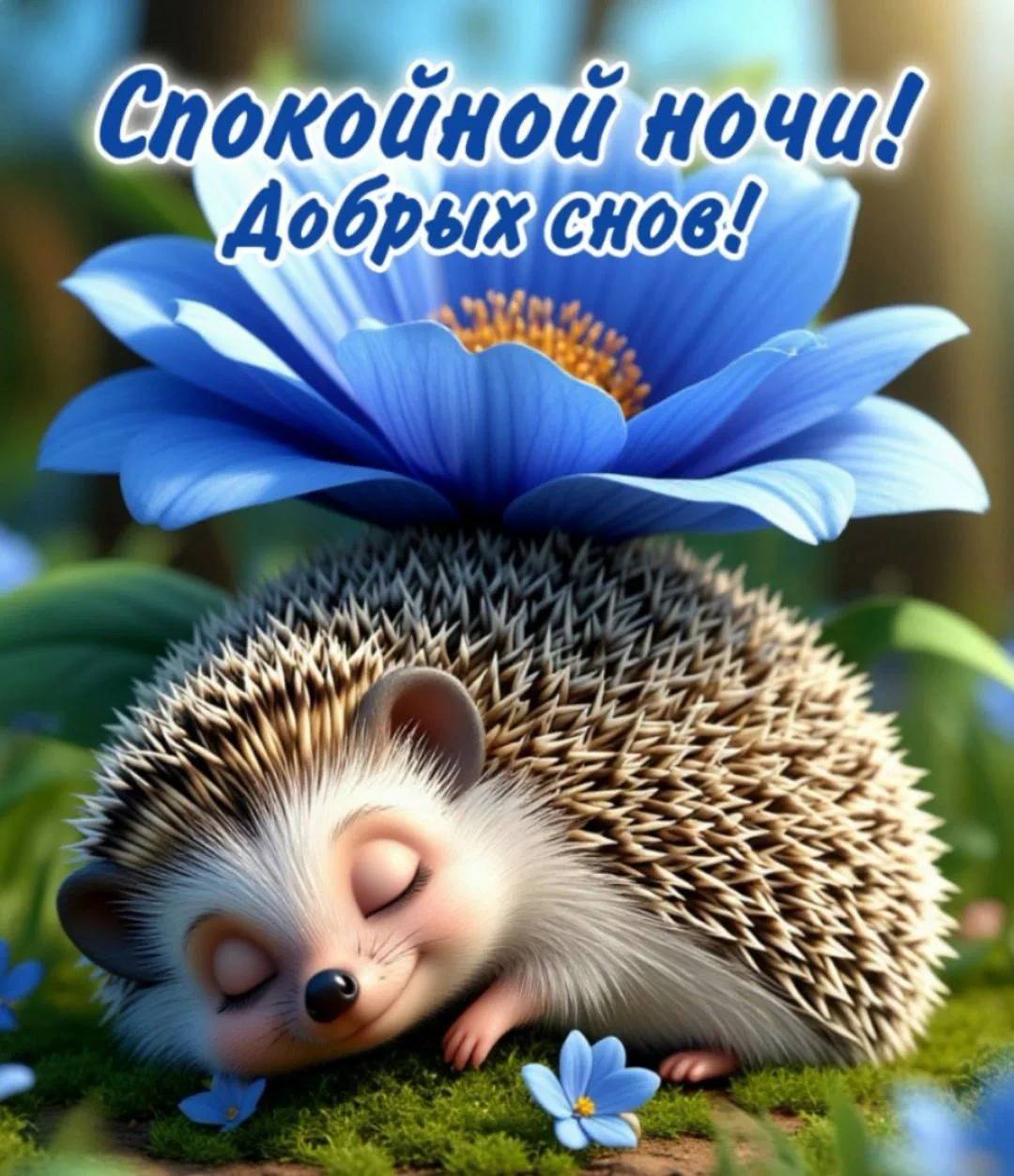 https://upforme.ru/uploads/000a/78/7a/526/192211.jpg