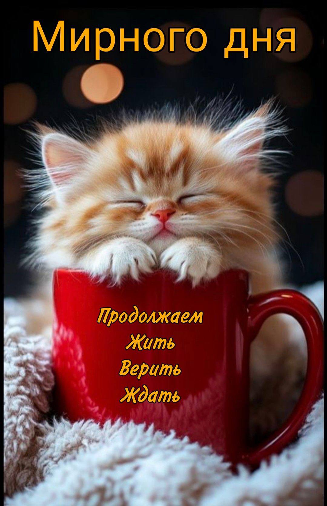 https://upforme.ru/uploads/000a/78/7a/526/202434.jpg