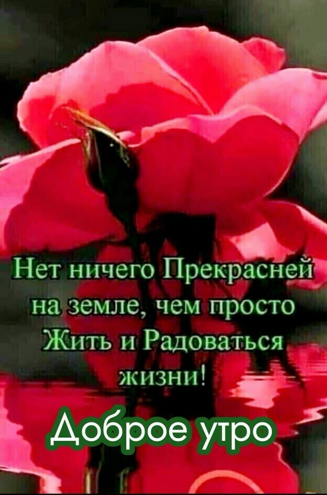 https://upforme.ru/uploads/000a/78/7a/526/203665.jpg