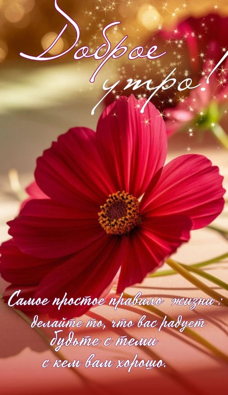 https://upforme.ru/uploads/000a/78/7a/526/211889.jpg