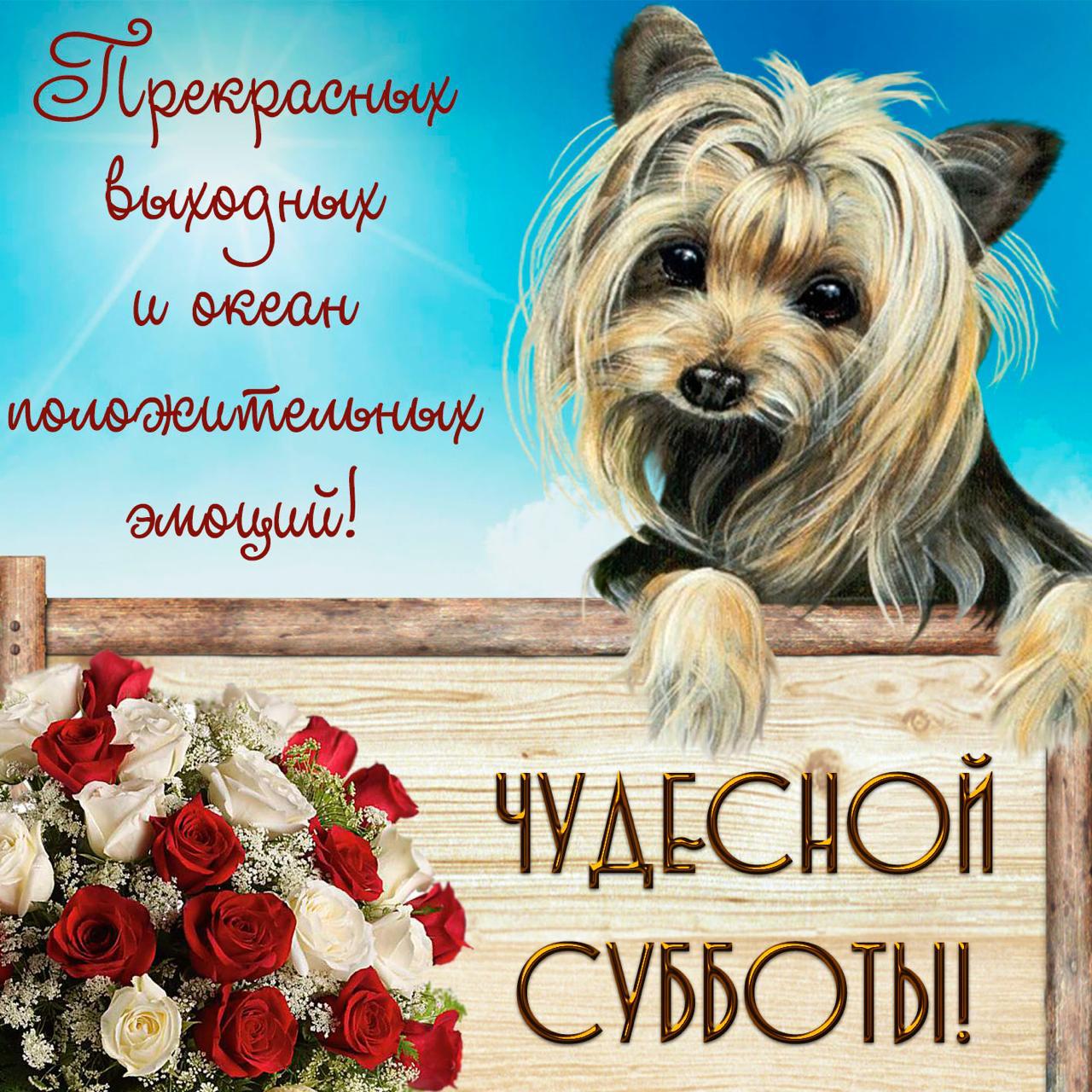 https://upforme.ru/uploads/000a/78/7a/526/23900.jpg