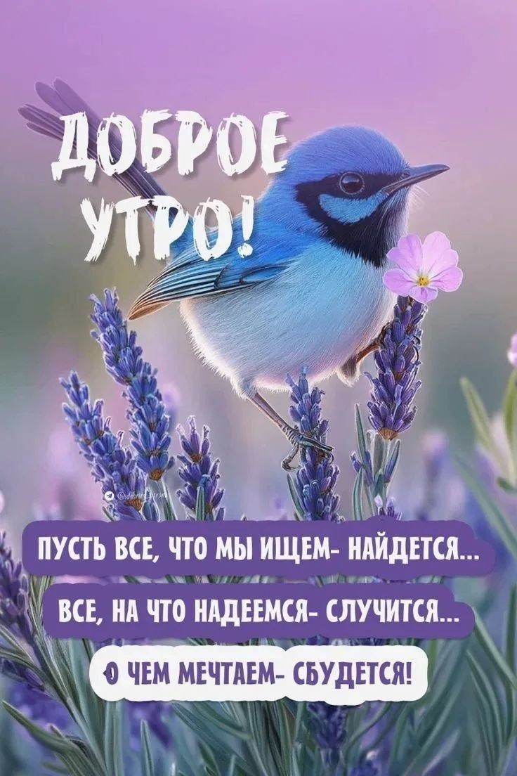 https://upforme.ru/uploads/000a/78/7a/526/240263.jpg