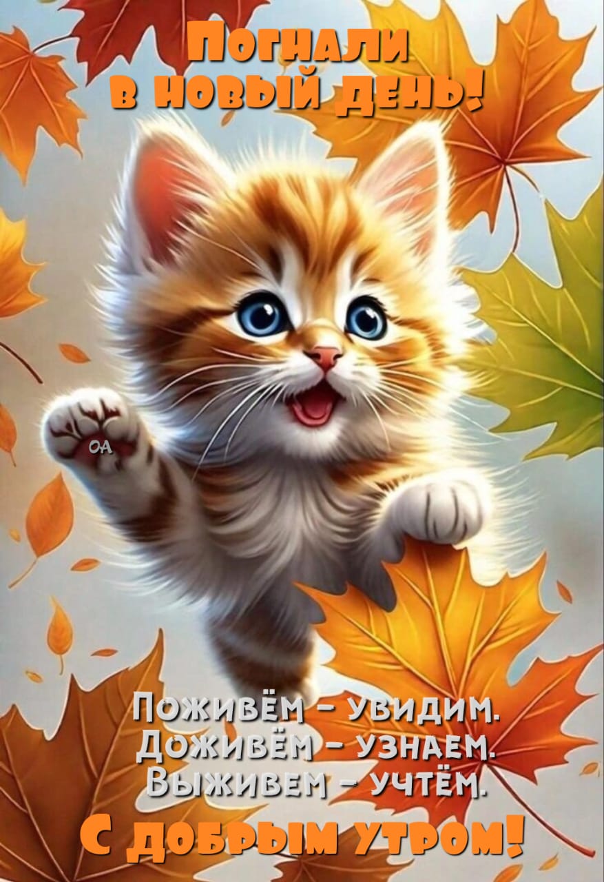https://upforme.ru/uploads/000a/78/7a/526/248644.jpg