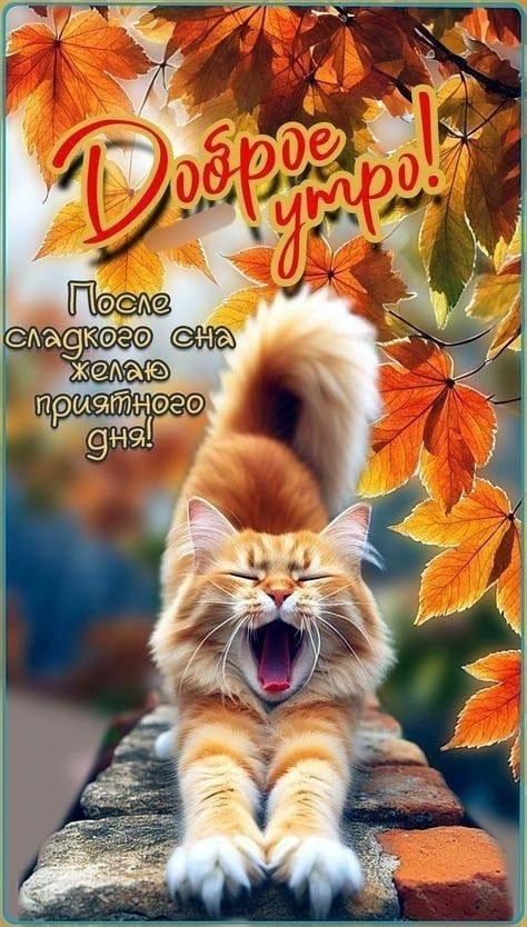 https://upforme.ru/uploads/000a/78/7a/526/25452.jpg