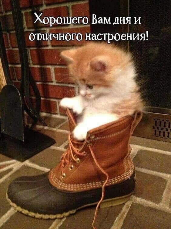 https://upforme.ru/uploads/000a/78/7a/526/259258.jpg