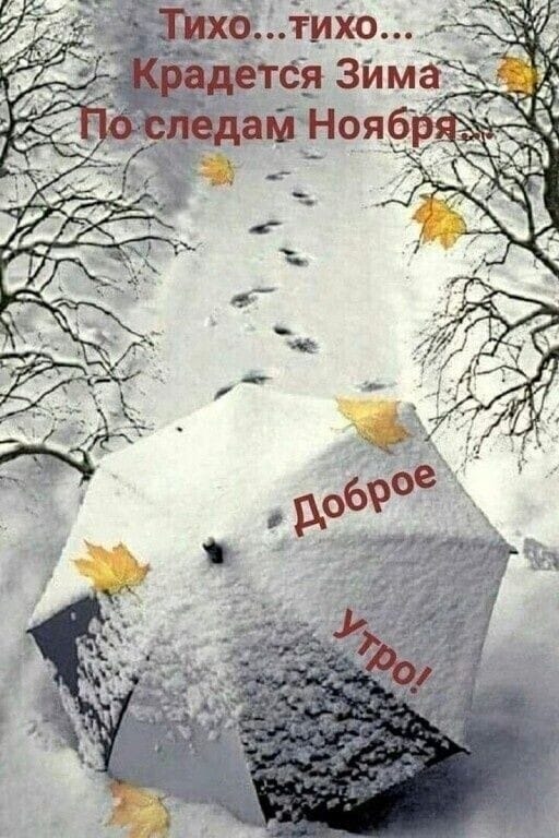 https://upforme.ru/uploads/000a/78/7a/526/274748.jpg