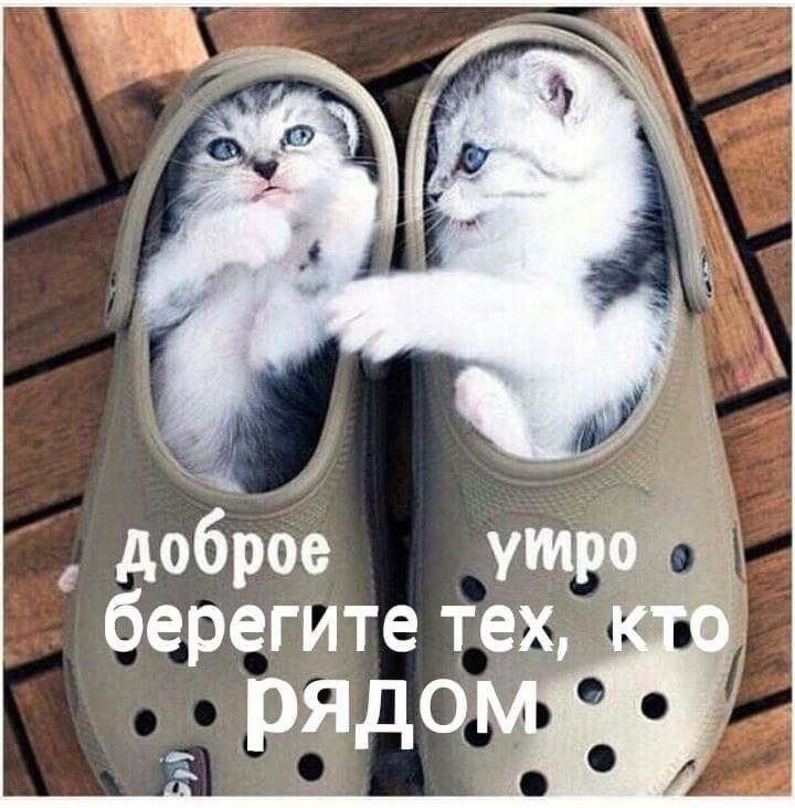 https://upforme.ru/uploads/000a/78/7a/526/278737.jpg
