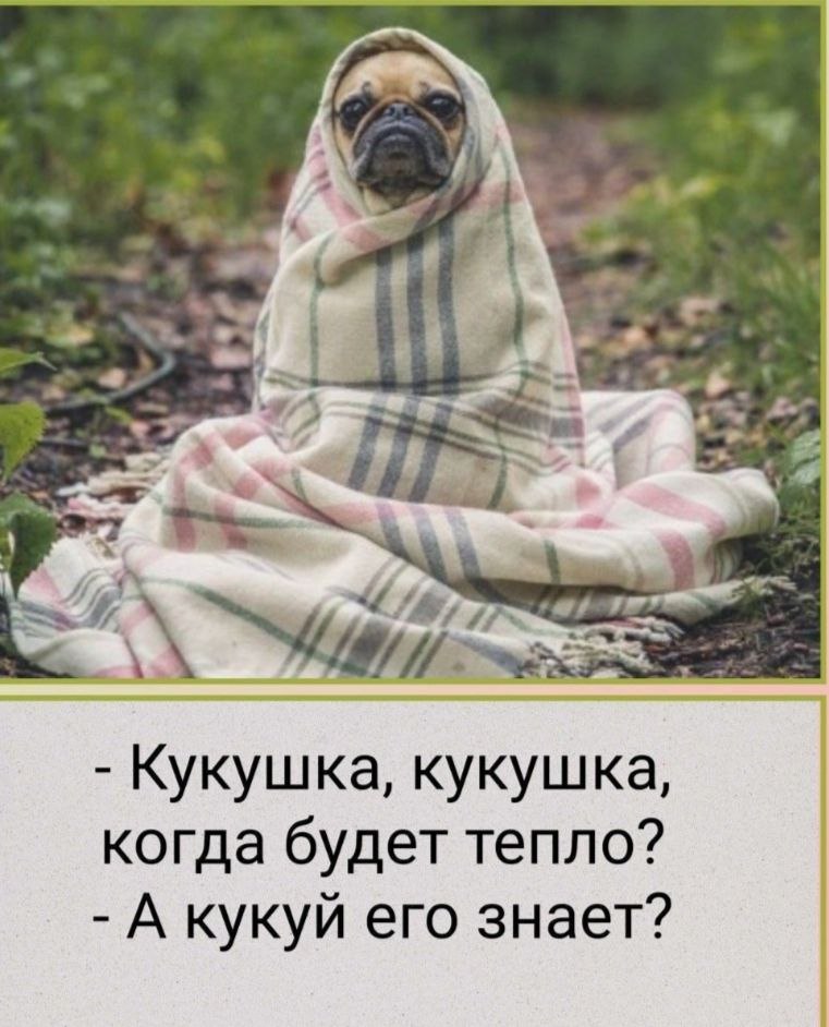 https://upforme.ru/uploads/000a/78/7a/526/282374.jpg