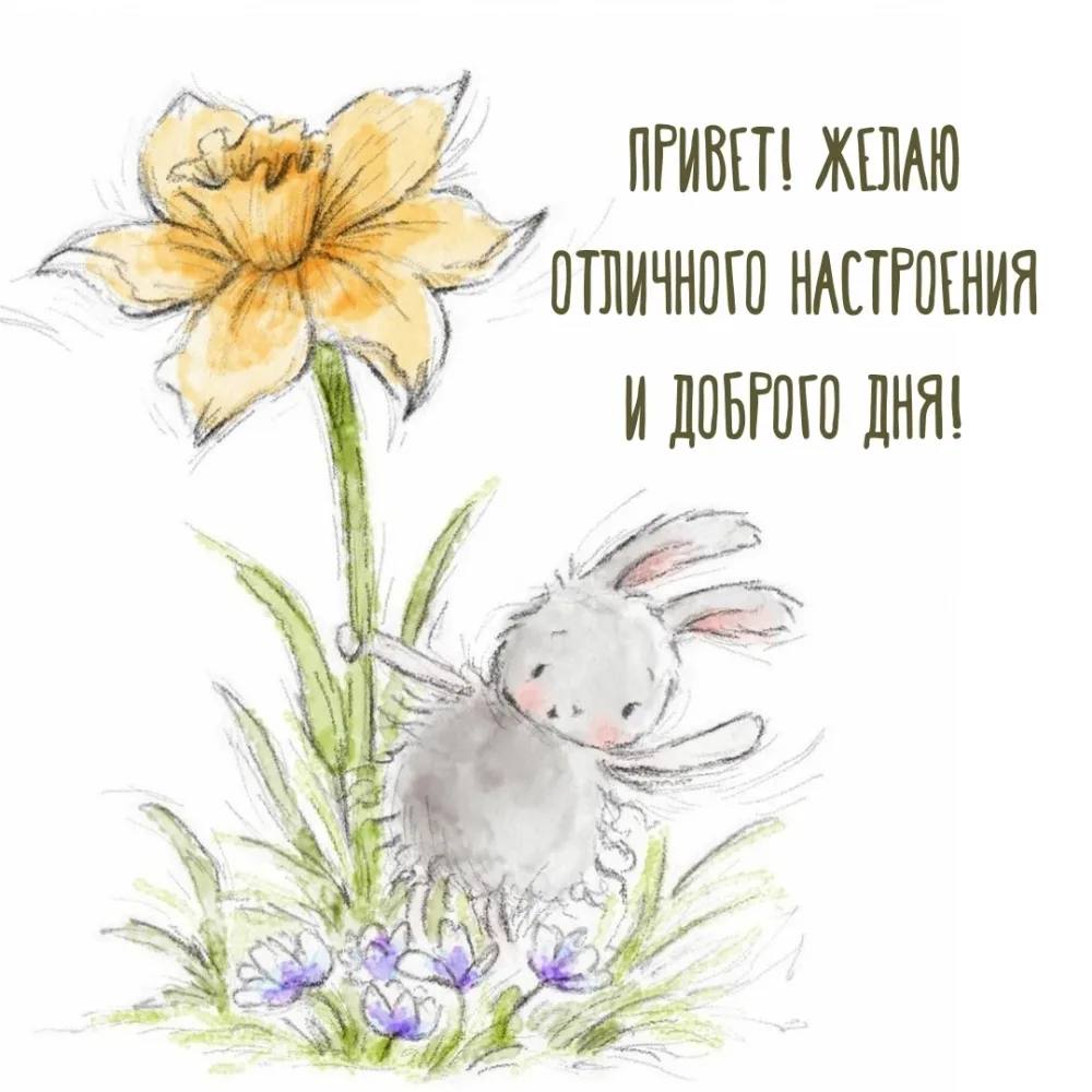 https://upforme.ru/uploads/000a/78/7a/526/303355.jpg