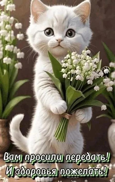 https://upforme.ru/uploads/000a/78/7a/526/309113.jpg