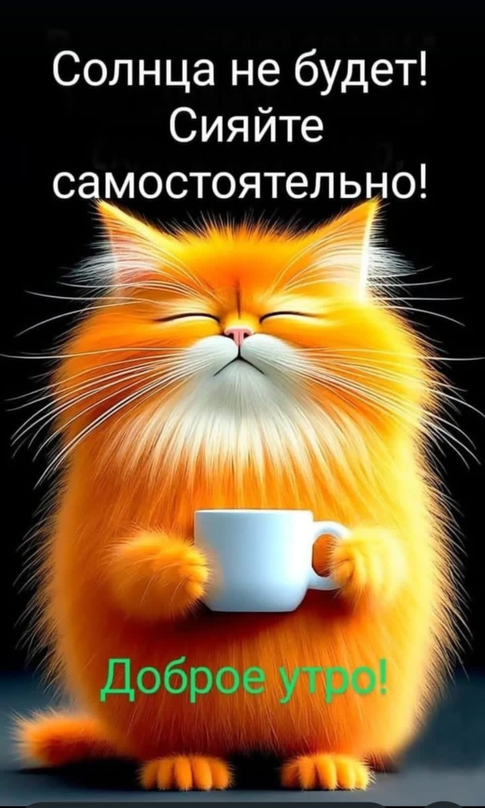 https://upforme.ru/uploads/000a/78/7a/526/311966.jpg