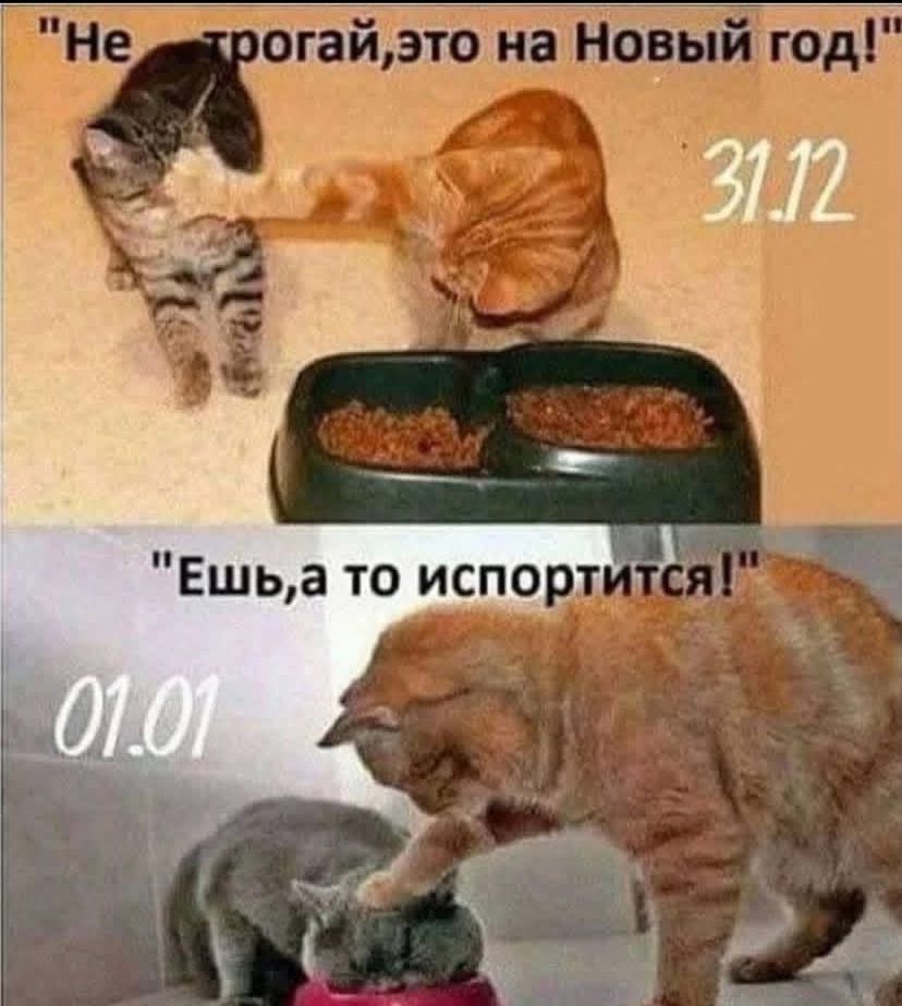 https://upforme.ru/uploads/000a/78/7a/526/319637.jpg