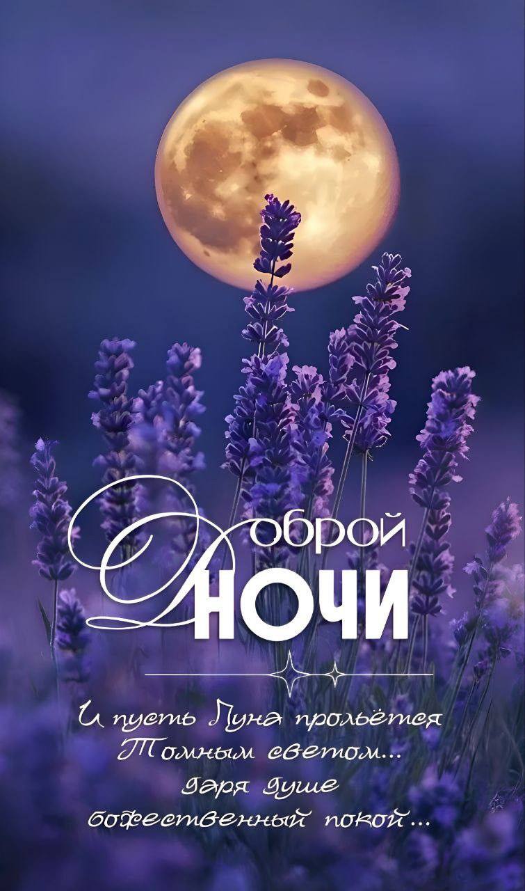 https://upforme.ru/uploads/000a/78/7a/526/327218.jpg