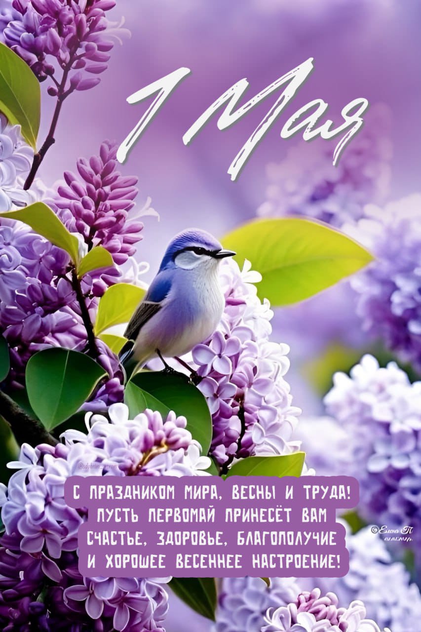 https://upforme.ru/uploads/000a/78/7a/526/355511.jpg