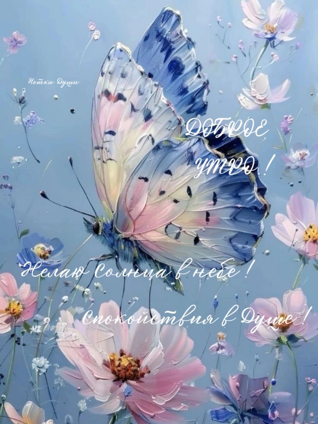 https://upforme.ru/uploads/000a/78/7a/526/35566.jpg