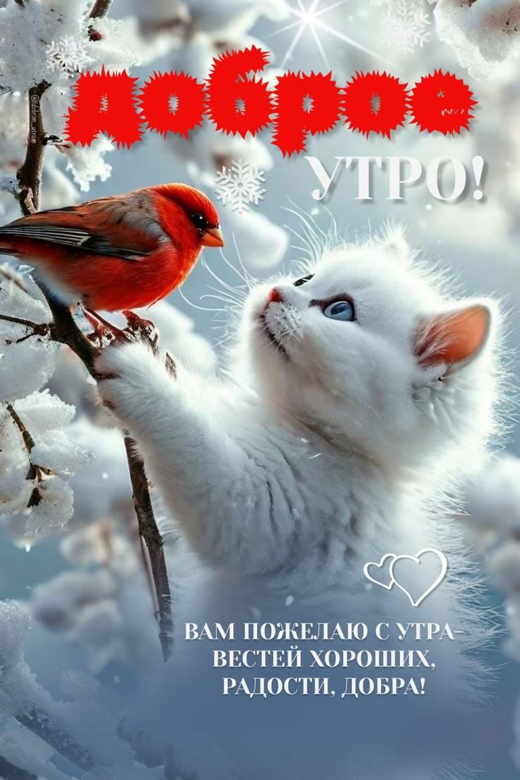 https://upforme.ru/uploads/000a/78/7a/526/368792.jpg