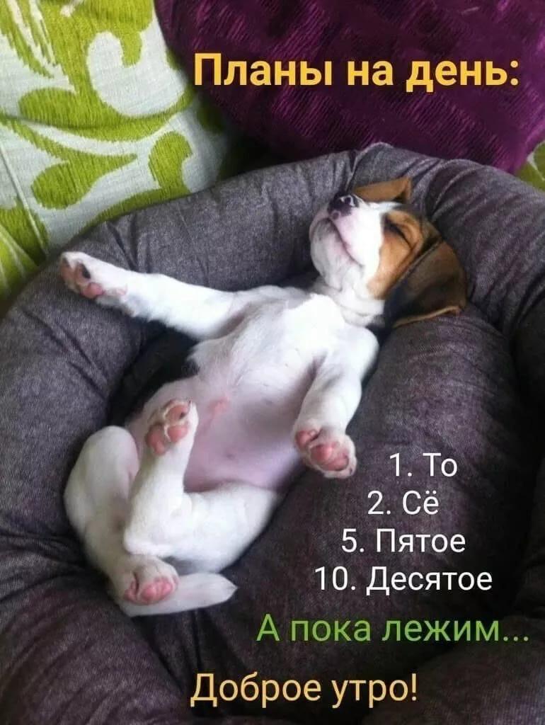 https://upforme.ru/uploads/000a/78/7a/526/372489.jpg