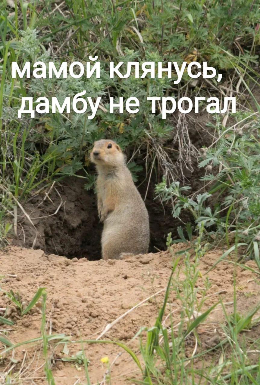 https://upforme.ru/uploads/000a/78/7a/526/379417.jpg