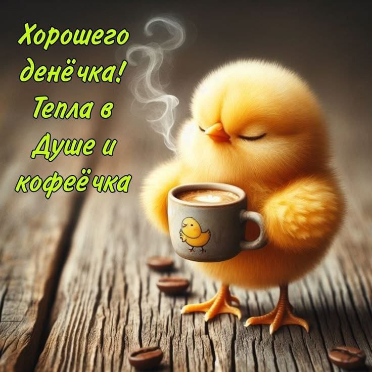 https://upforme.ru/uploads/000a/78/7a/526/384673.jpg