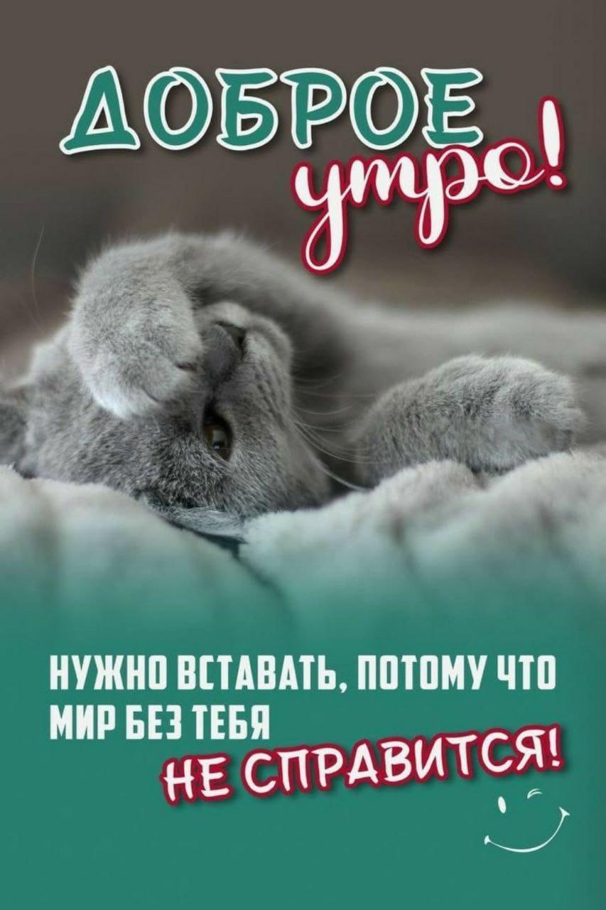 https://upforme.ru/uploads/000a/78/7a/526/386258.jpg