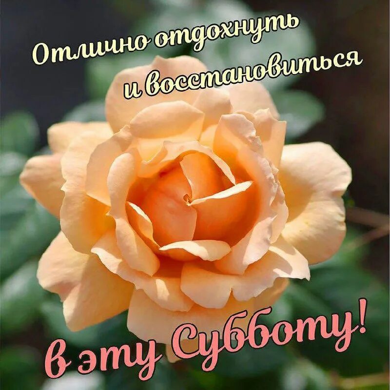 https://upforme.ru/uploads/000a/78/7a/526/38646.jpg