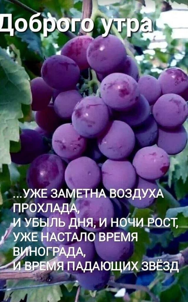 https://upforme.ru/uploads/000a/78/7a/526/387315.jpg