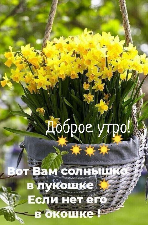 https://upforme.ru/uploads/000a/78/7a/526/392868.jpg