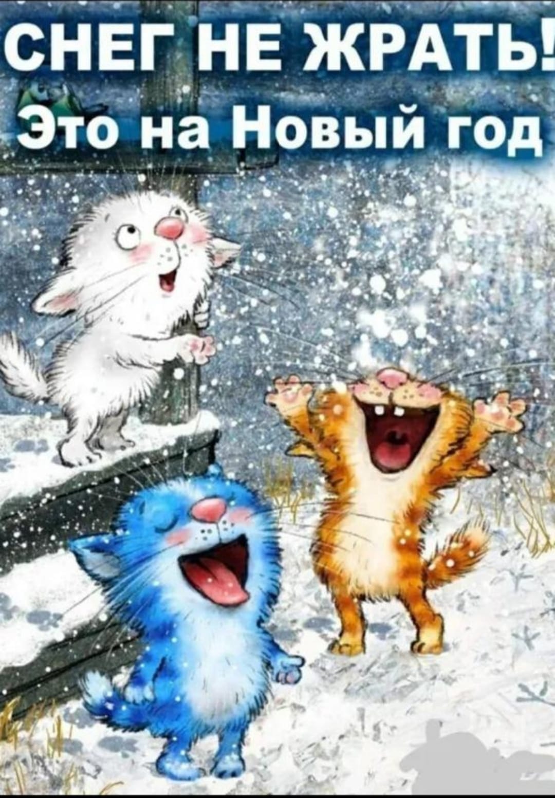 https://upforme.ru/uploads/000a/78/7a/526/401036.jpg