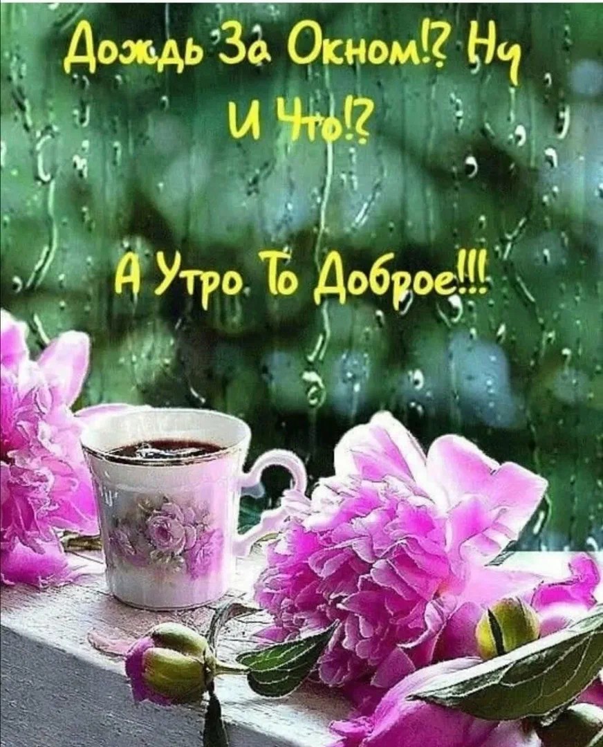 https://upforme.ru/uploads/000a/78/7a/526/411725.jpg
