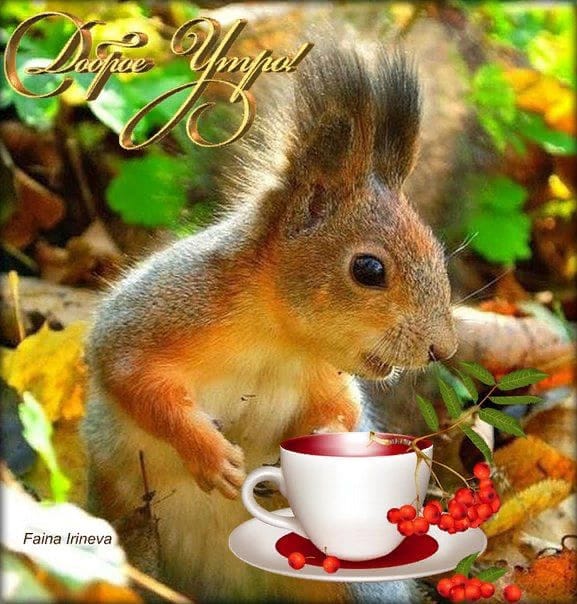 https://upforme.ru/uploads/000a/78/7a/526/413595.jpg