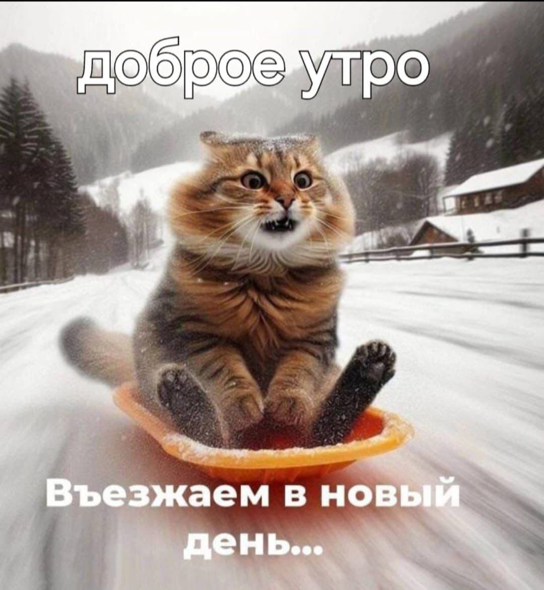 https://upforme.ru/uploads/000a/78/7a/526/420276.jpg