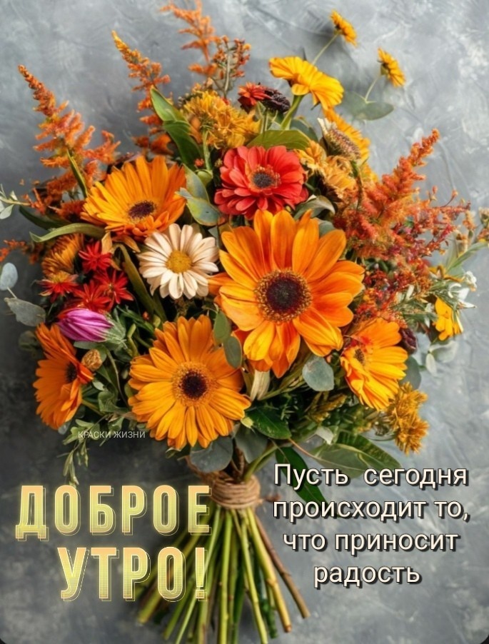 https://upforme.ru/uploads/000a/78/7a/526/422649.jpg