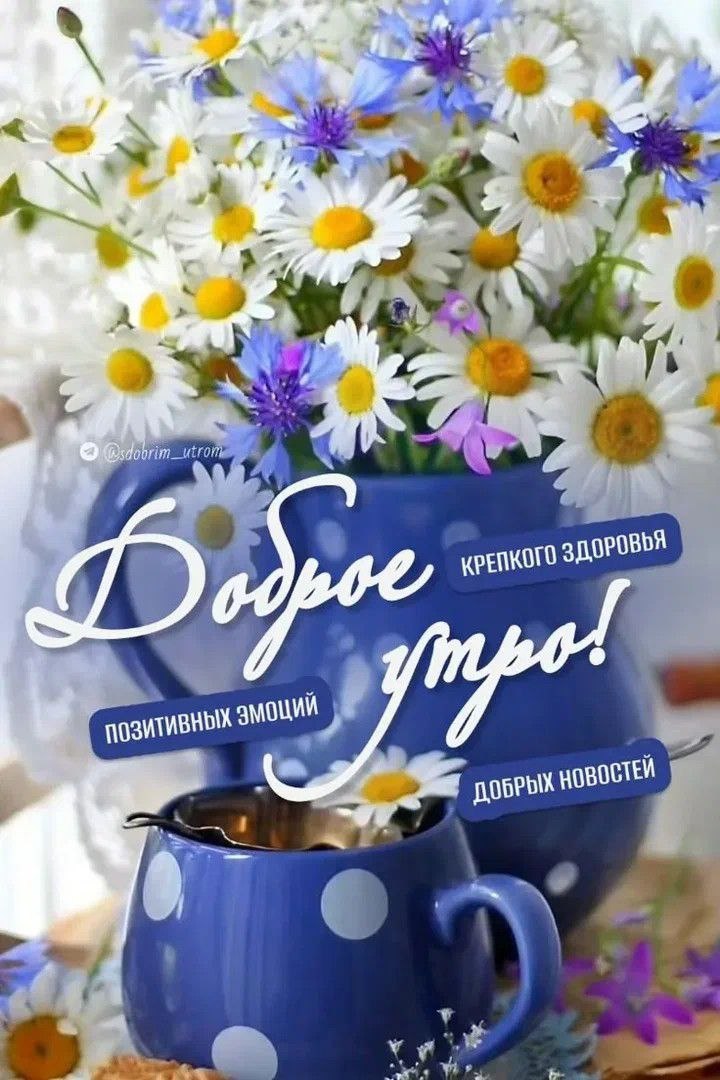 https://upforme.ru/uploads/000a/78/7a/526/449791.jpg