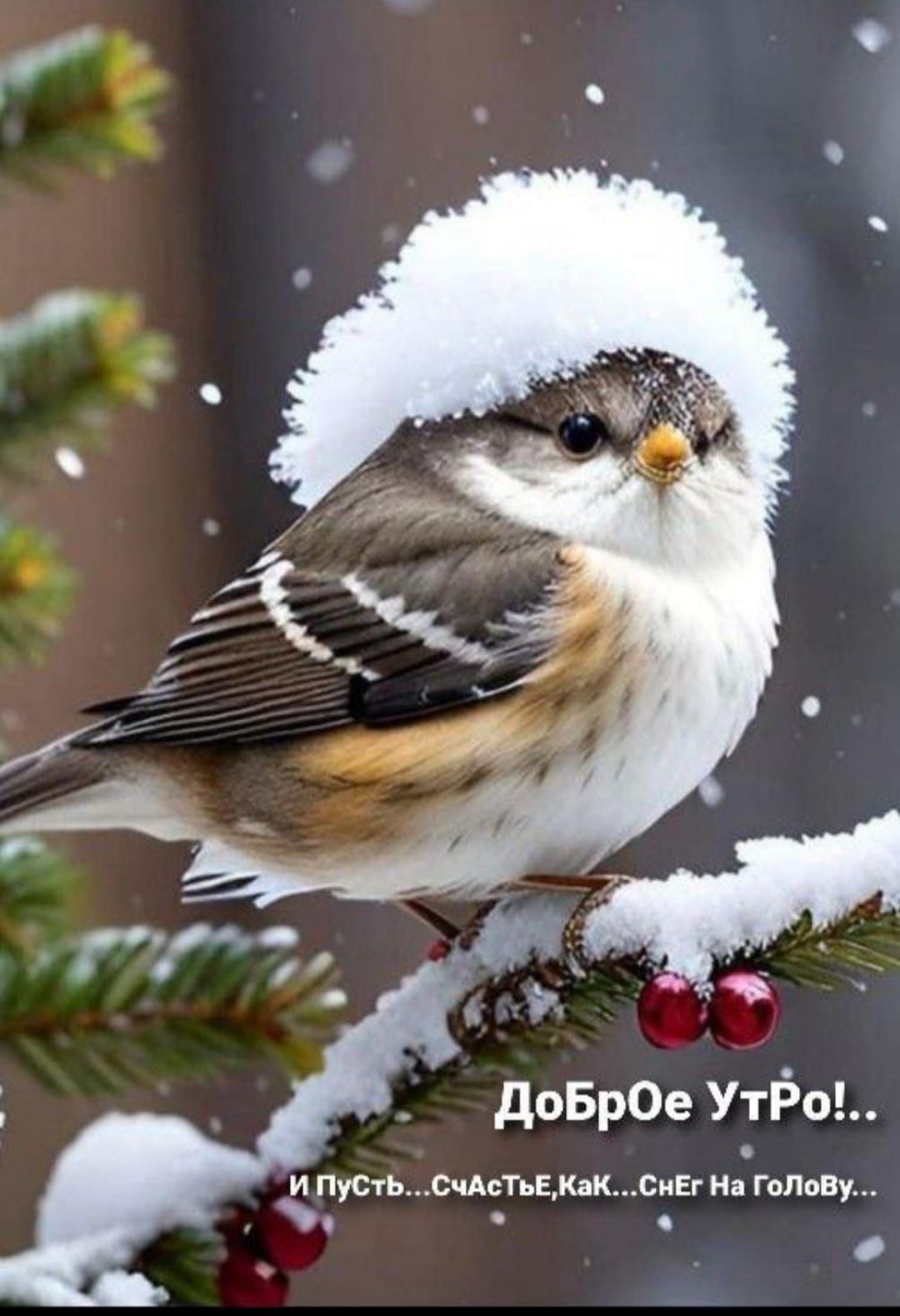 https://upforme.ru/uploads/000a/78/7a/526/458245.jpg
