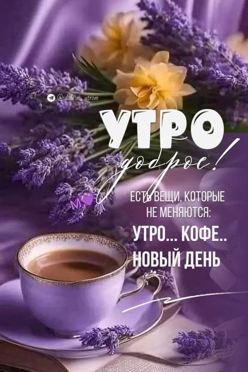 https://upforme.ru/uploads/000a/78/7a/526/458453.jpg