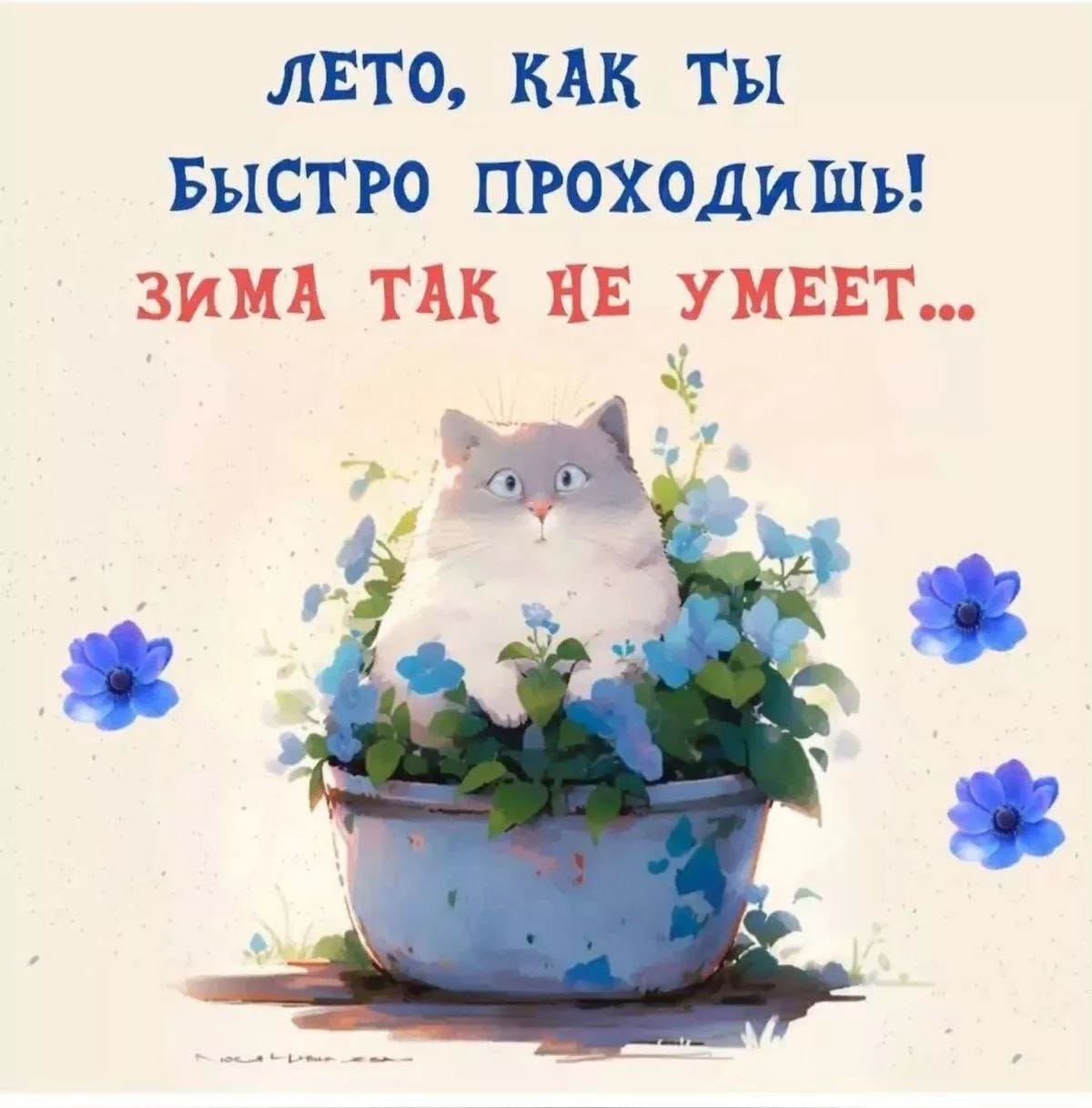 https://upforme.ru/uploads/000a/78/7a/526/469059.jpg