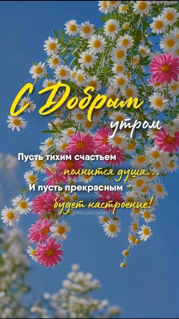 https://upforme.ru/uploads/000a/78/7a/526/480337.jpg