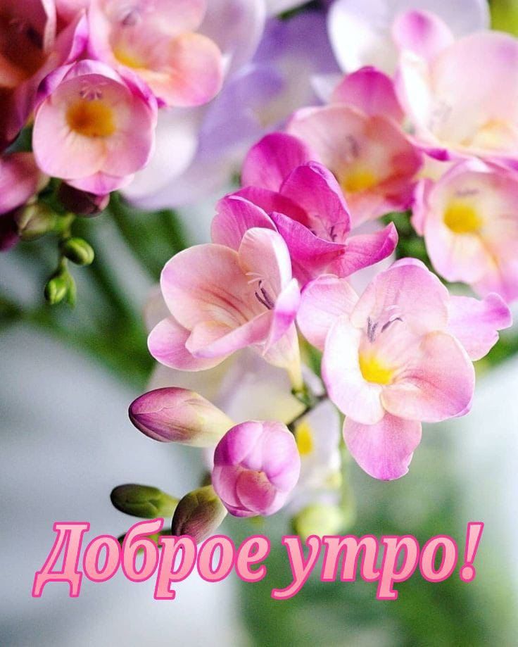 https://upforme.ru/uploads/000a/78/7a/526/48318.jpg