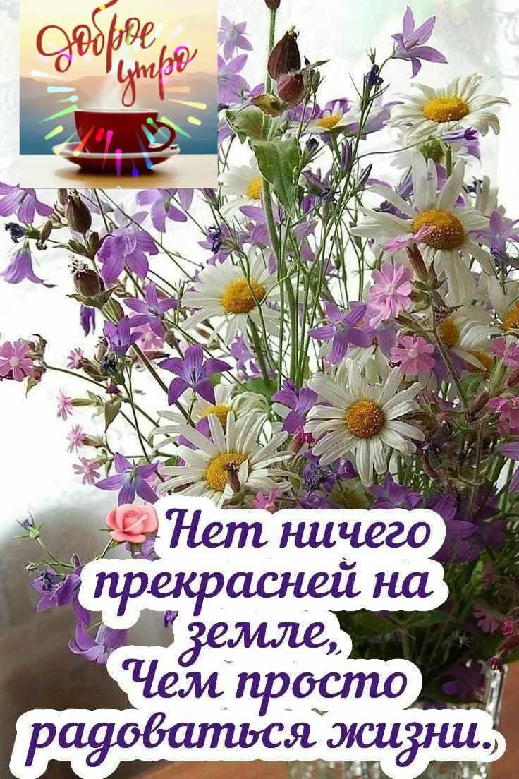 https://upforme.ru/uploads/000a/78/7a/526/48434.jpg