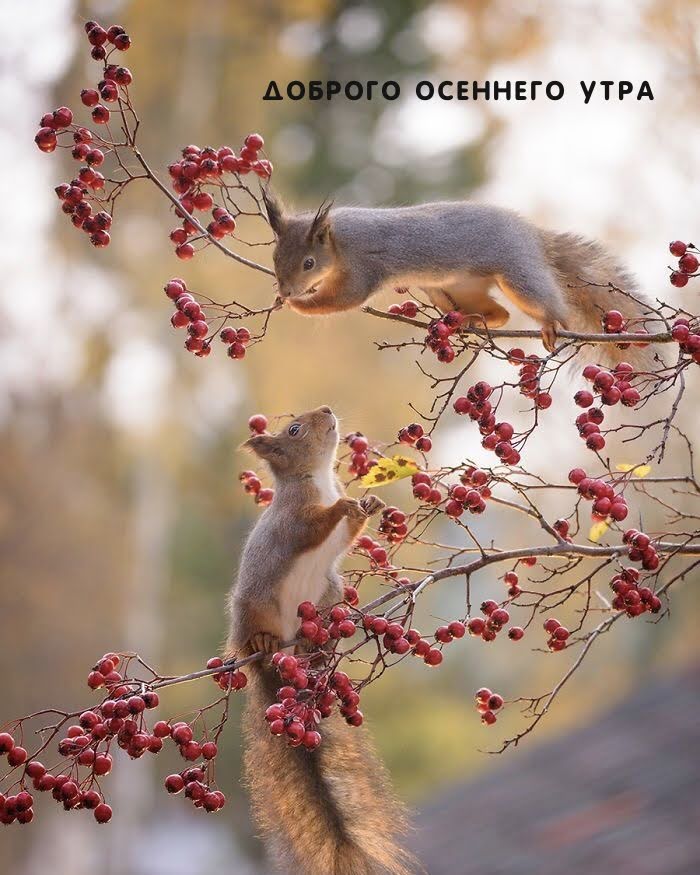 https://upforme.ru/uploads/000a/78/7a/526/497477.jpg