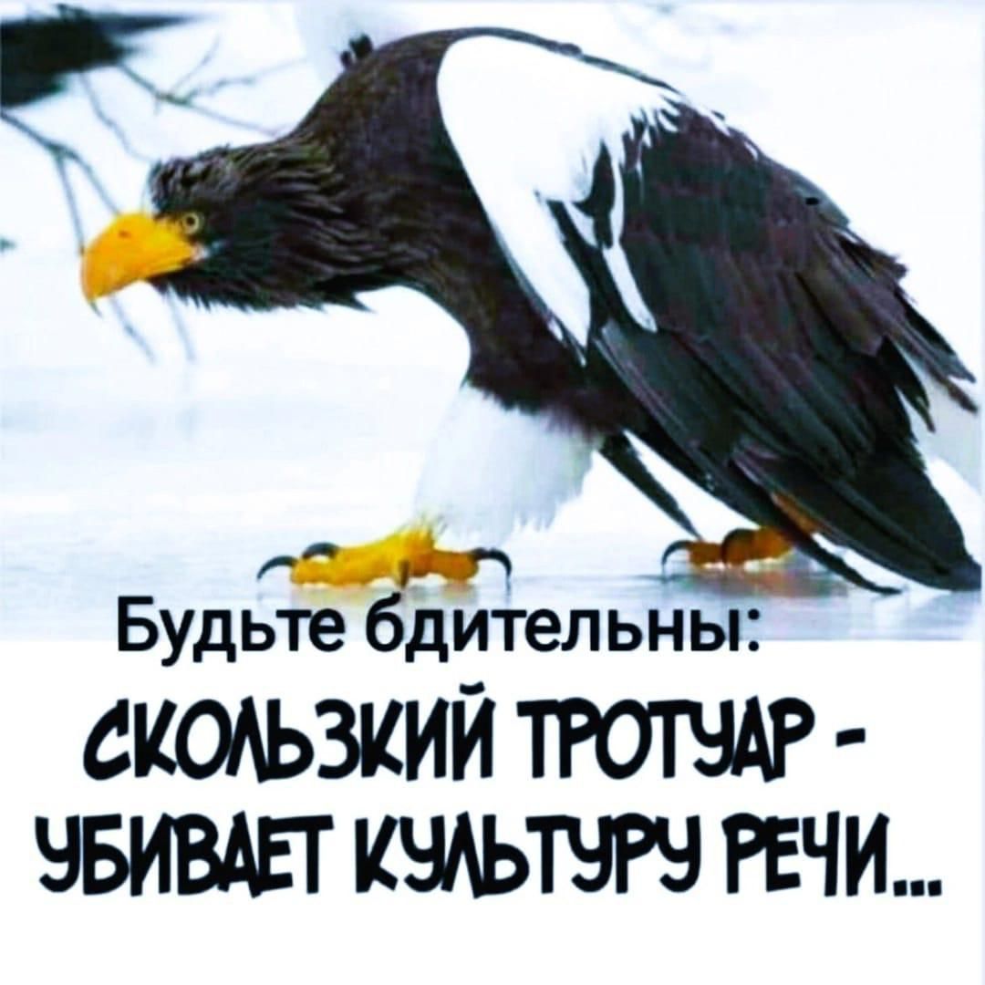 https://upforme.ru/uploads/000a/78/7a/526/50131.jpg
