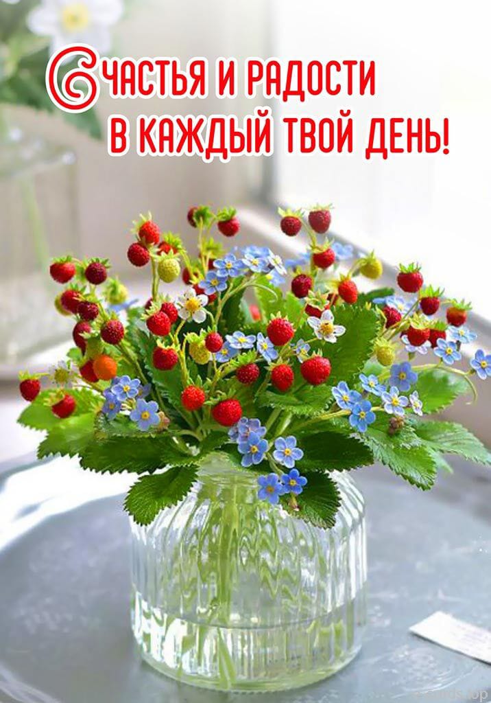 https://upforme.ru/uploads/000a/78/7a/526/523756.jpg